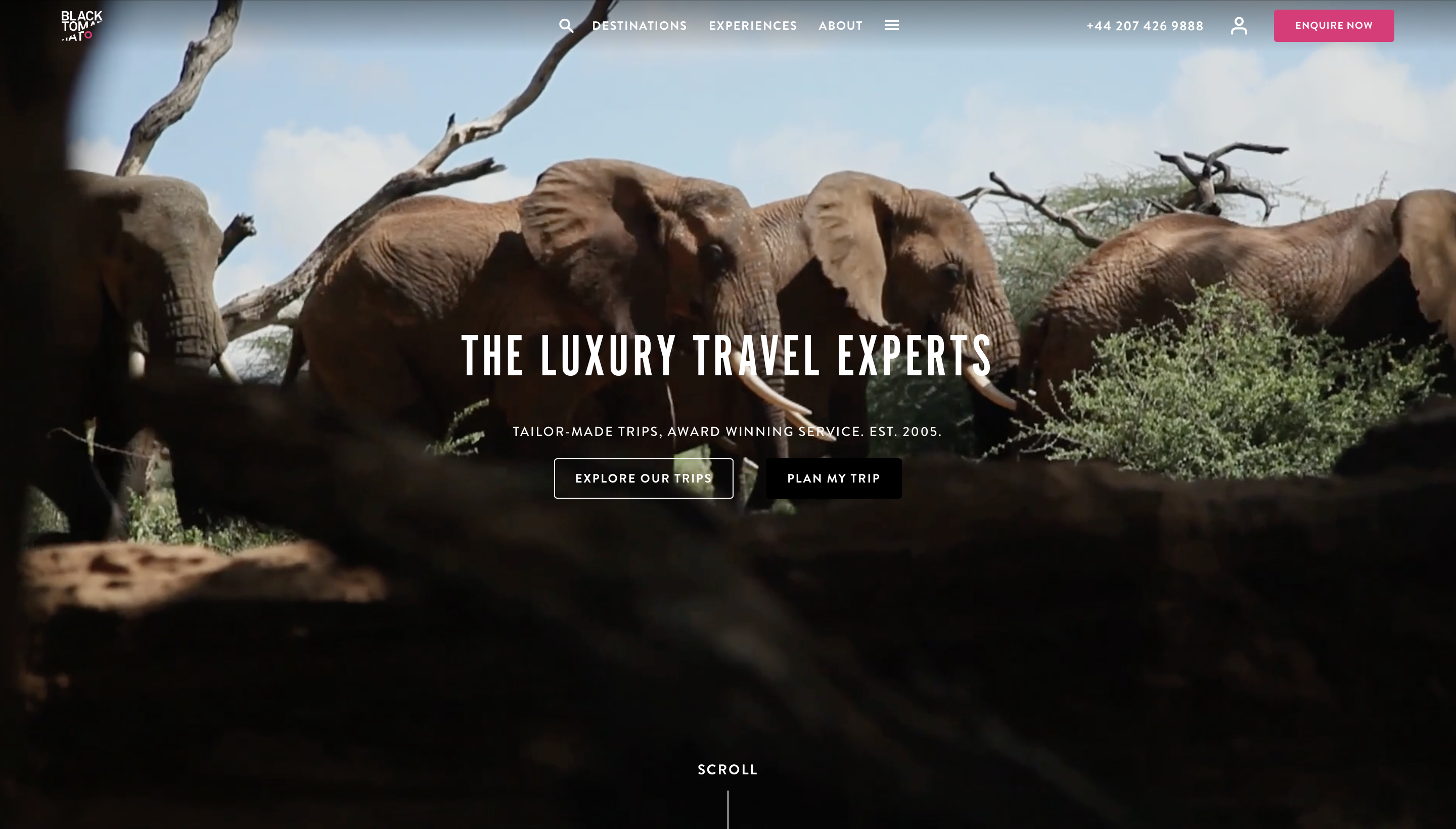 Black Tomato Luxury Travel Website Screenshot